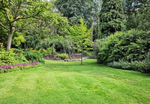 Optimiser l'expérience du jardin à Bonvillard